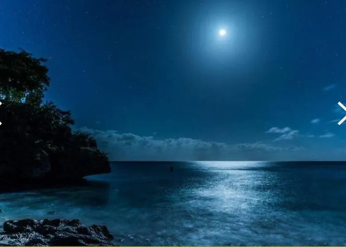 Vip Cielo Stellato On Seaview 4* 萨莱诺